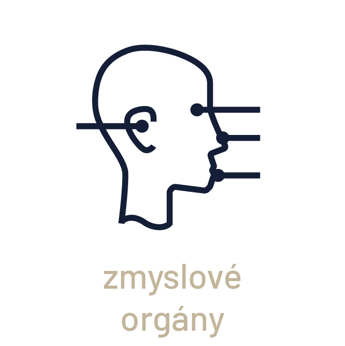 zmyslové organy_SK